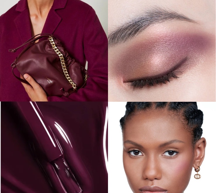 Burgundy: Guida alle Tonalità per Ogni&nbsp;Stagione